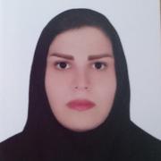  Golnaz Hakimjavadi