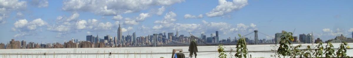 New York City Rooftop Garden